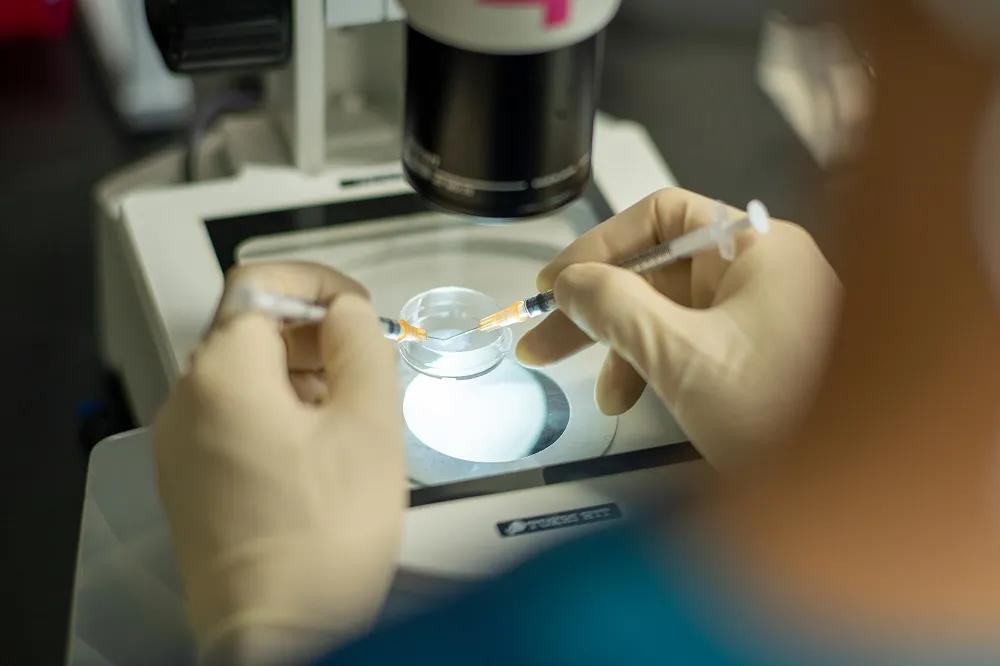 秀儿早早孕试纸