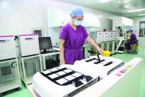 移植后着床成功