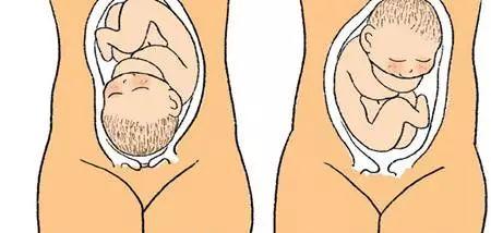 移植后十天能测出怀孕吗