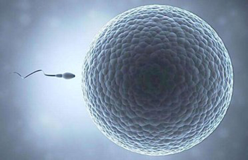 秀儿早早孕试纸