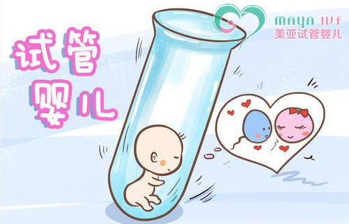 第一ppt免费课件下载