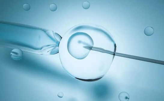 胚胎移植