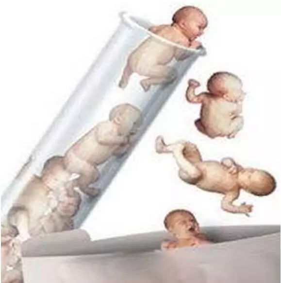 第一ppt免费课件下载