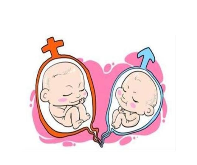 移植囊胚第五天