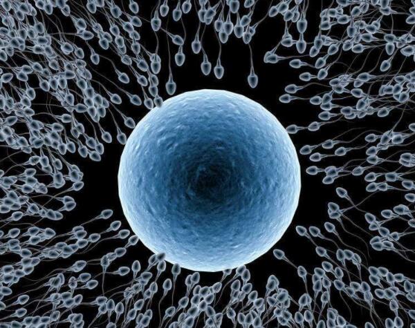 秀儿早早孕试纸