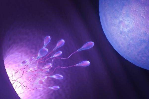 章泽天二胎男孩