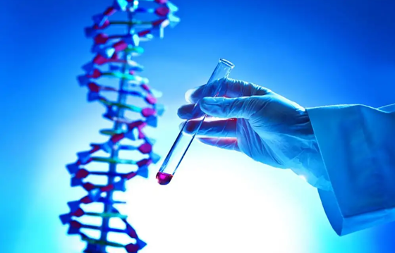 移植后着床成功