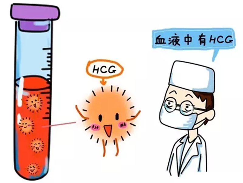 第一次人流危害