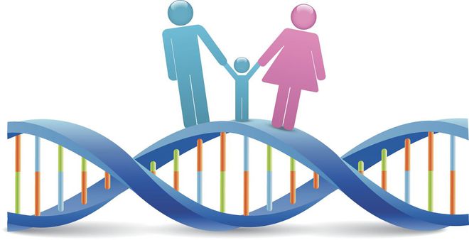 移植后着床反应