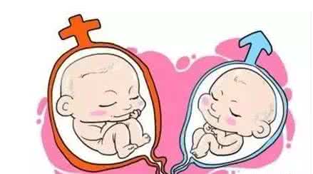 第一ppt免费课件下载