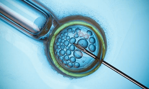 经期最后一天同房