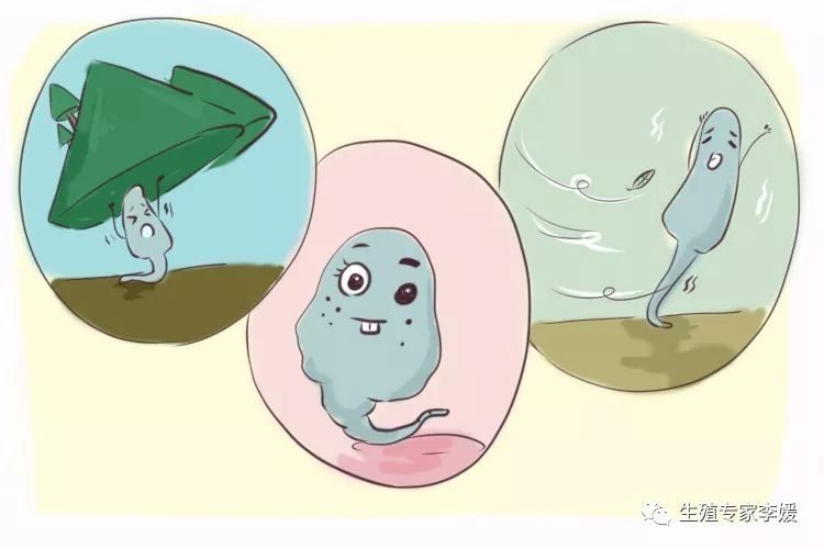 经期最后一天同房