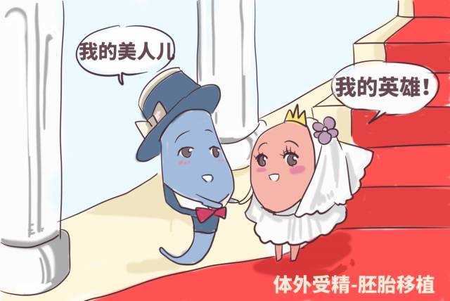 珠海三代试管费用